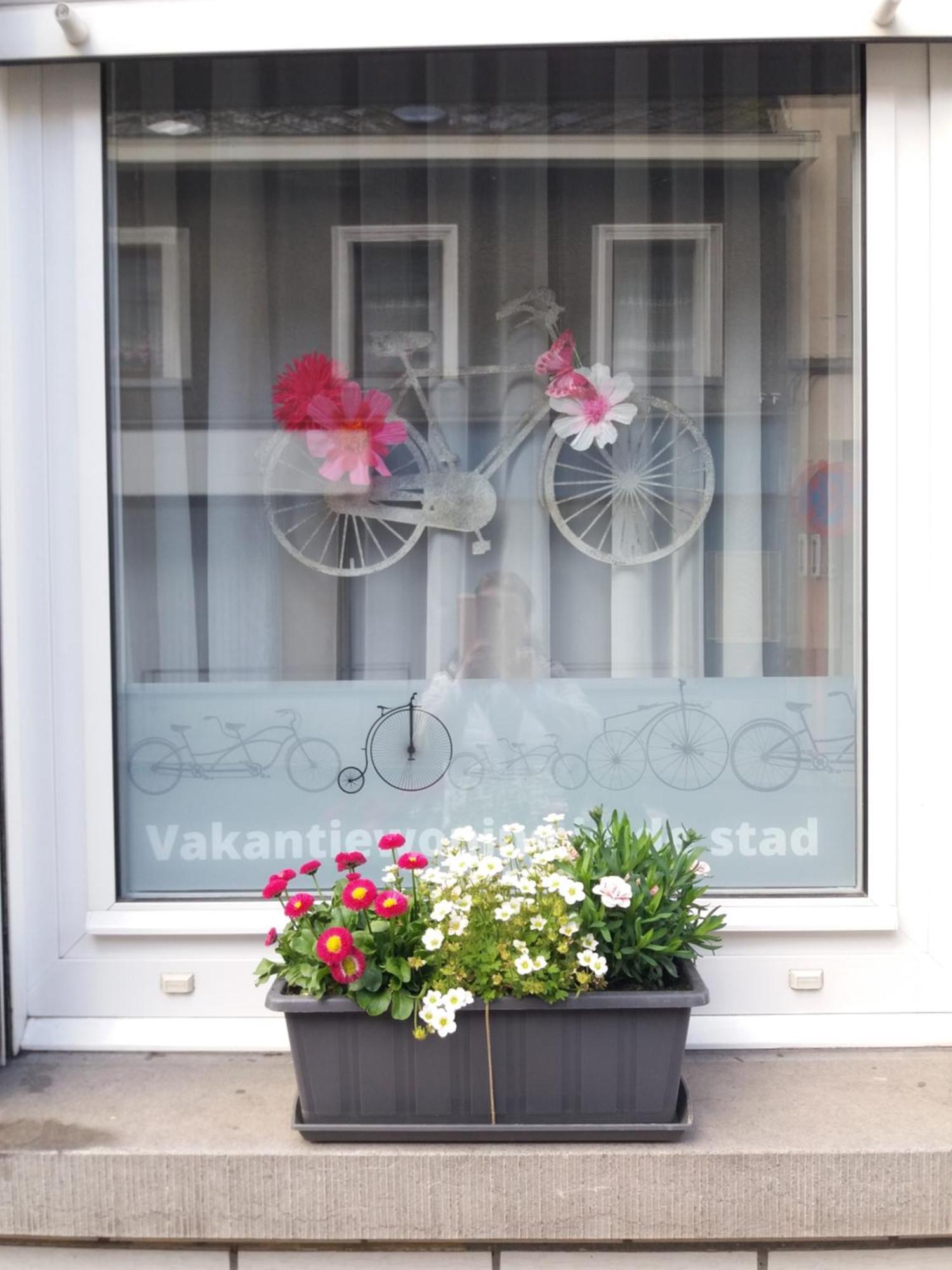 Velocipede Oudenaarde Vakantieverblijf 6 Pers (Adults Only) Exterior foto