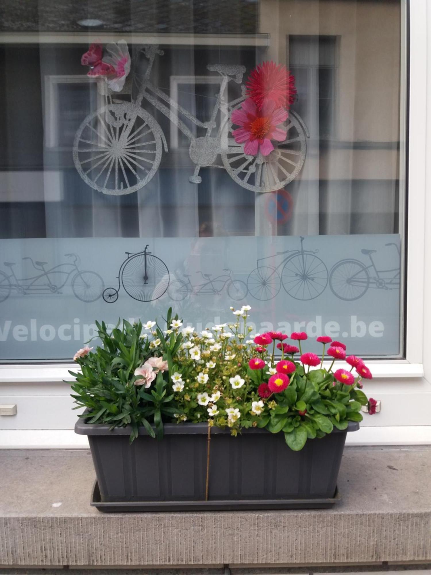 Velocipede Oudenaarde Vakantieverblijf 6 Pers (Adults Only) Exterior foto